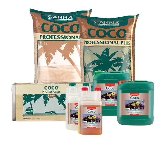 CANNA COCO