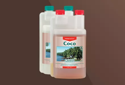 CANNA Coco A & B