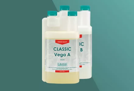 CANNA Classic Vega