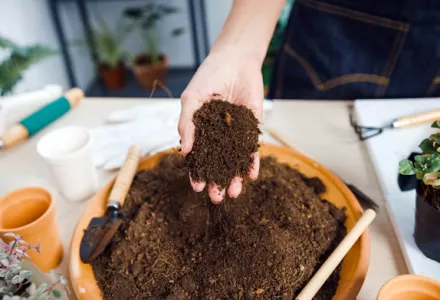 Determining the volume and density of soil improvers and growing media