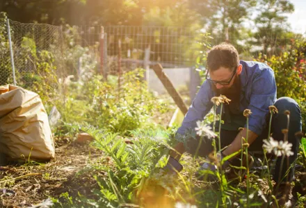 The what’s and whys of organic growing - part 2