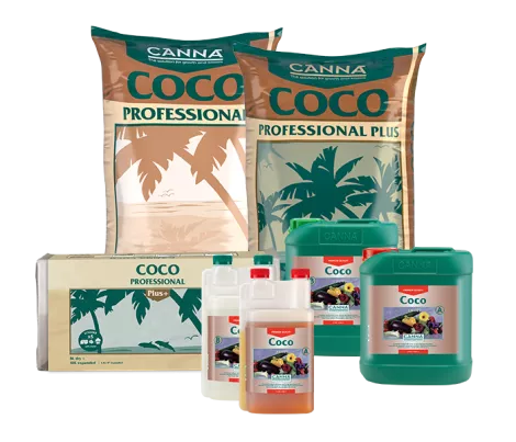 CANNA COCO